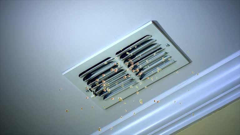Best Air Duct Cleaning Near Me  in Pomona Park, FL